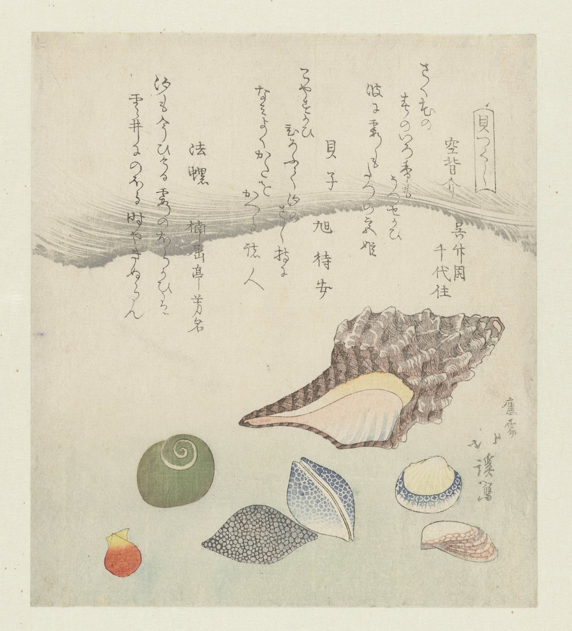 Reflecting Shell, Ivory Shell, and Triton Shell (series title: A Series of Shells) by Totoya Hokkei