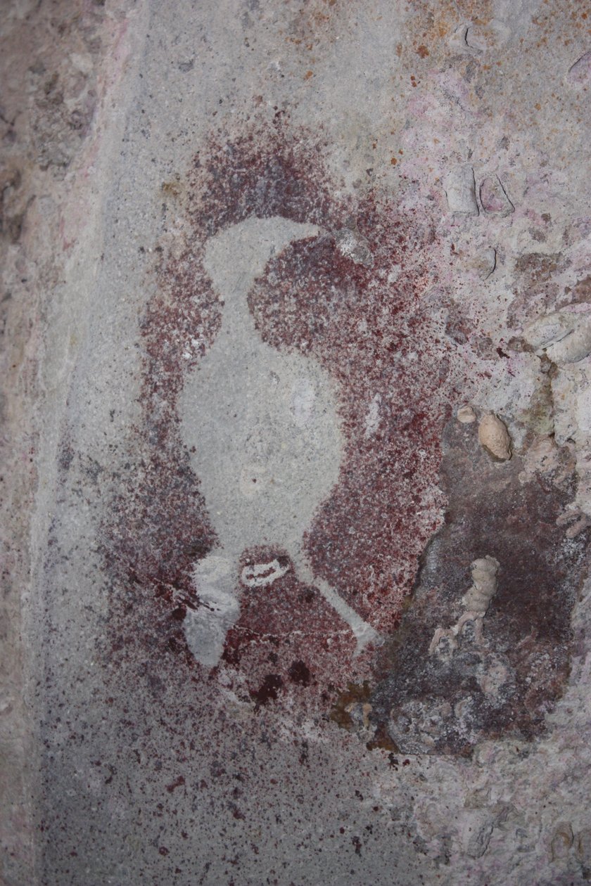 Bird Stencil 1 by Unbekannt Unbekannt