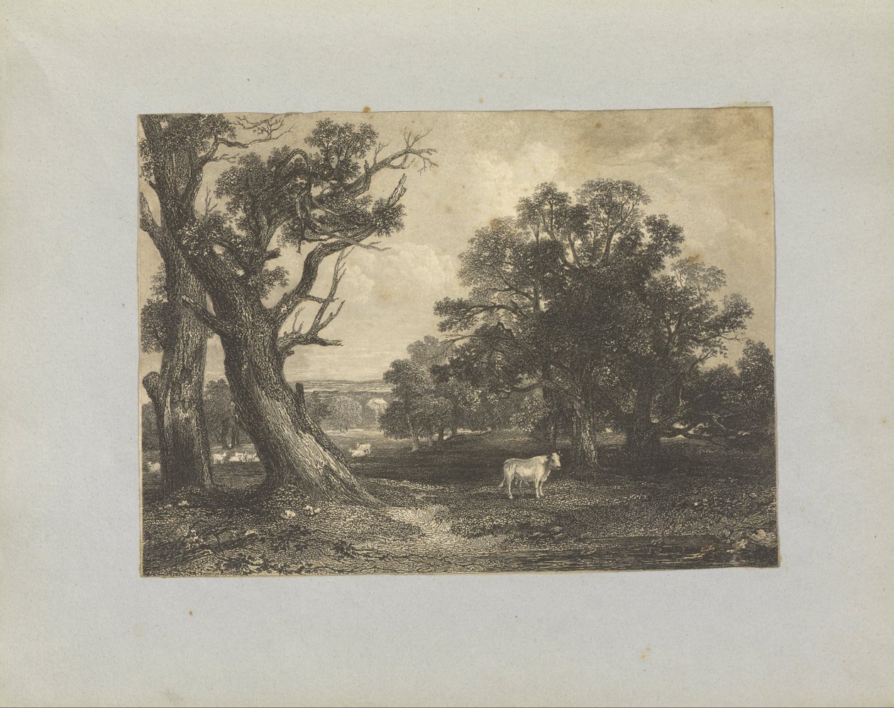 Pastoral Scene with Cows and Bulls by Unbekannt Unbekannt