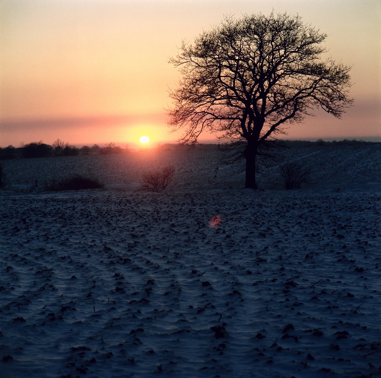 Winter Sunset, Essex by Unbekannt Unbekannt