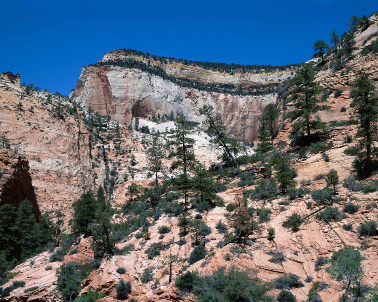 Zion National Park, Utah by Unbekannt Unbekannt