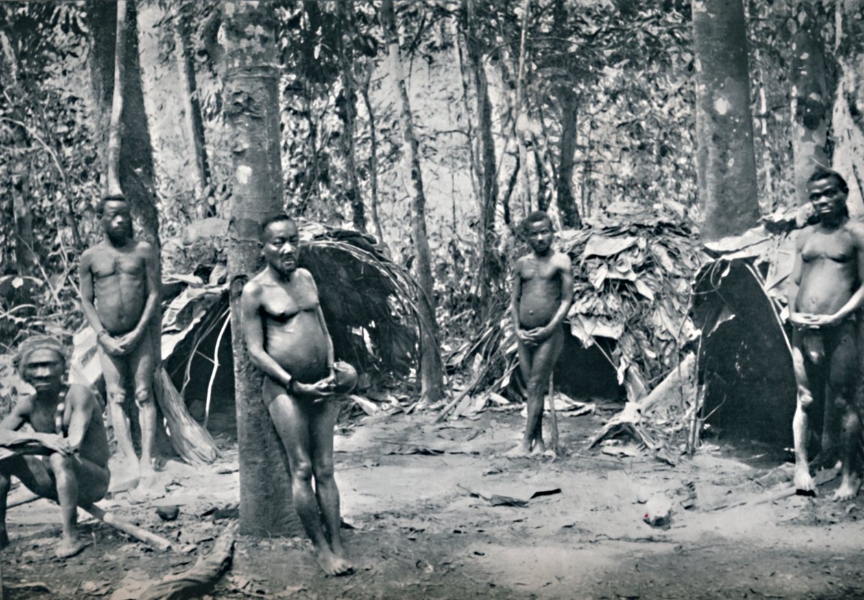 A Pygmy Village, North-East Congo Basin by Unbekannt