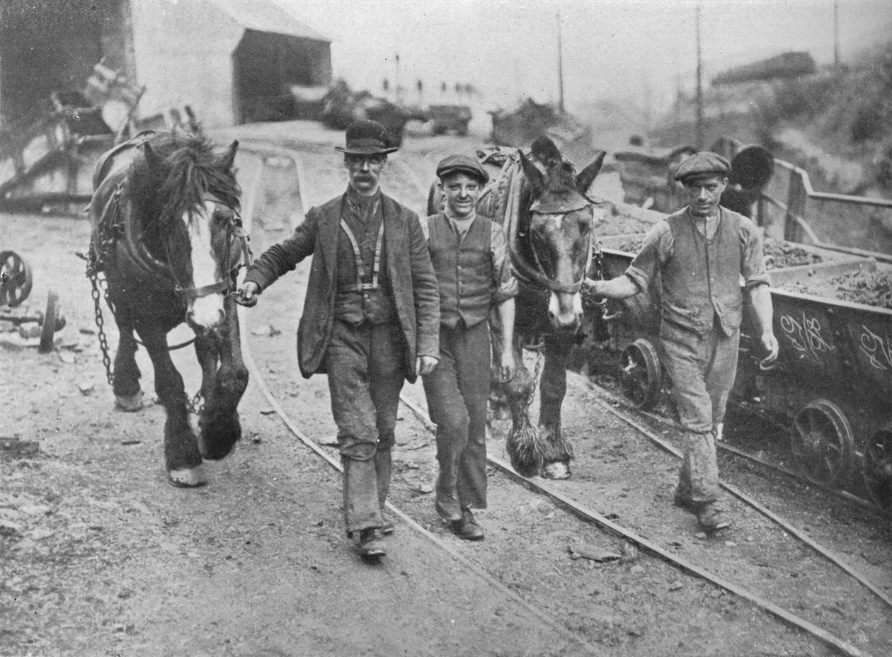After the settlement: Miners taking their ponies back to the pit, 1915 by Unbekannt