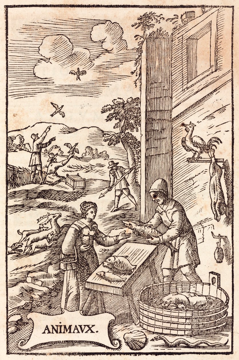 Animal Feeding: Woman Buying Fish from a Fishmonger, Men Releasing Birds from Cages and Hunting Scene by Unbekannt