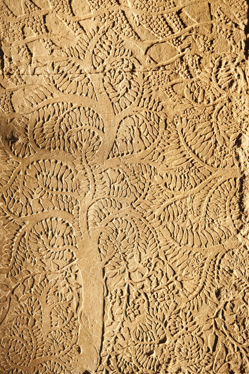 Angkor Wat, Carved Detail on Wall Tree by Unbekannt