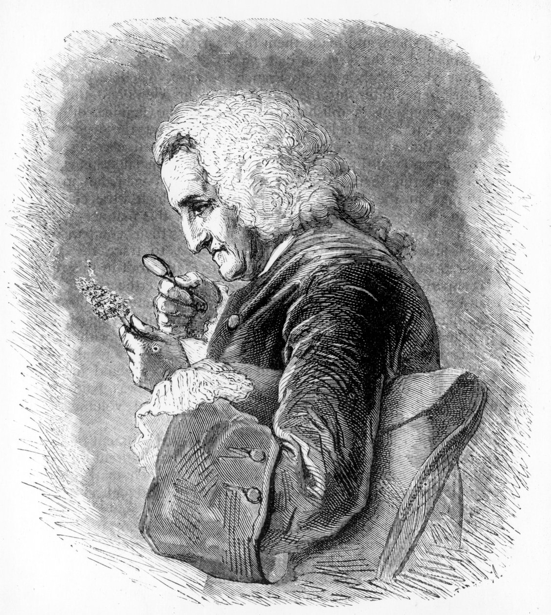 Bernard de Jussieu, 18th century French botanist, 1880 by Unbekannt