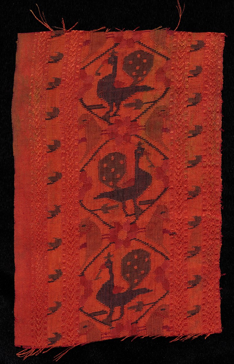 Border with Peacock Design by Unbekannt
