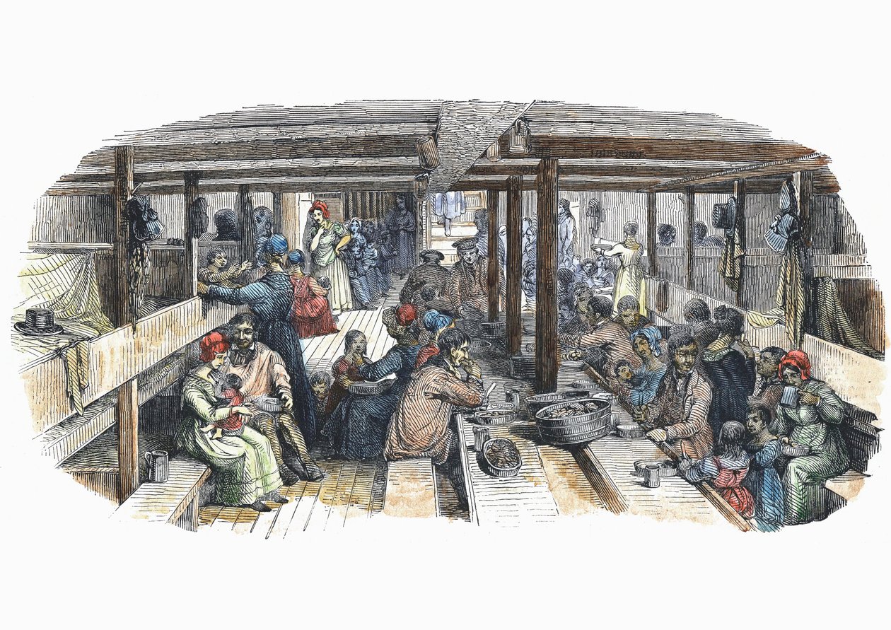 British Emigrants Bound for Sydney, Australia, in Quarters on the St Vincent by Unbekannt