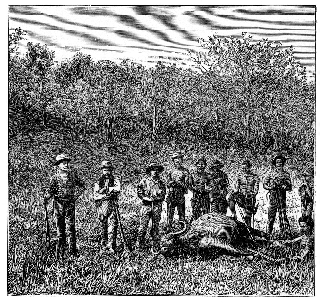 Buffalo hunters in the Transvaal, South Africa by Unbekannt