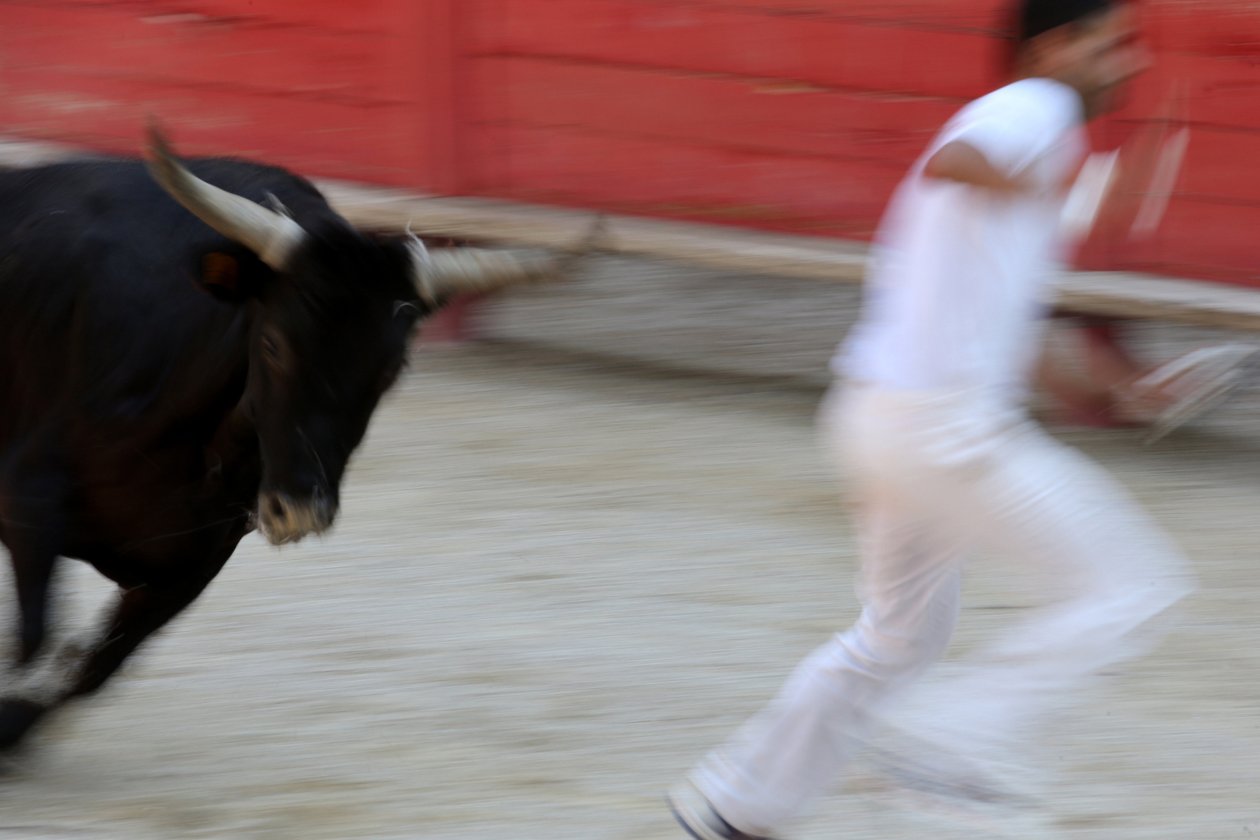 Bullfighting (Course Camarguaise), Vallabregues by Unbekannt