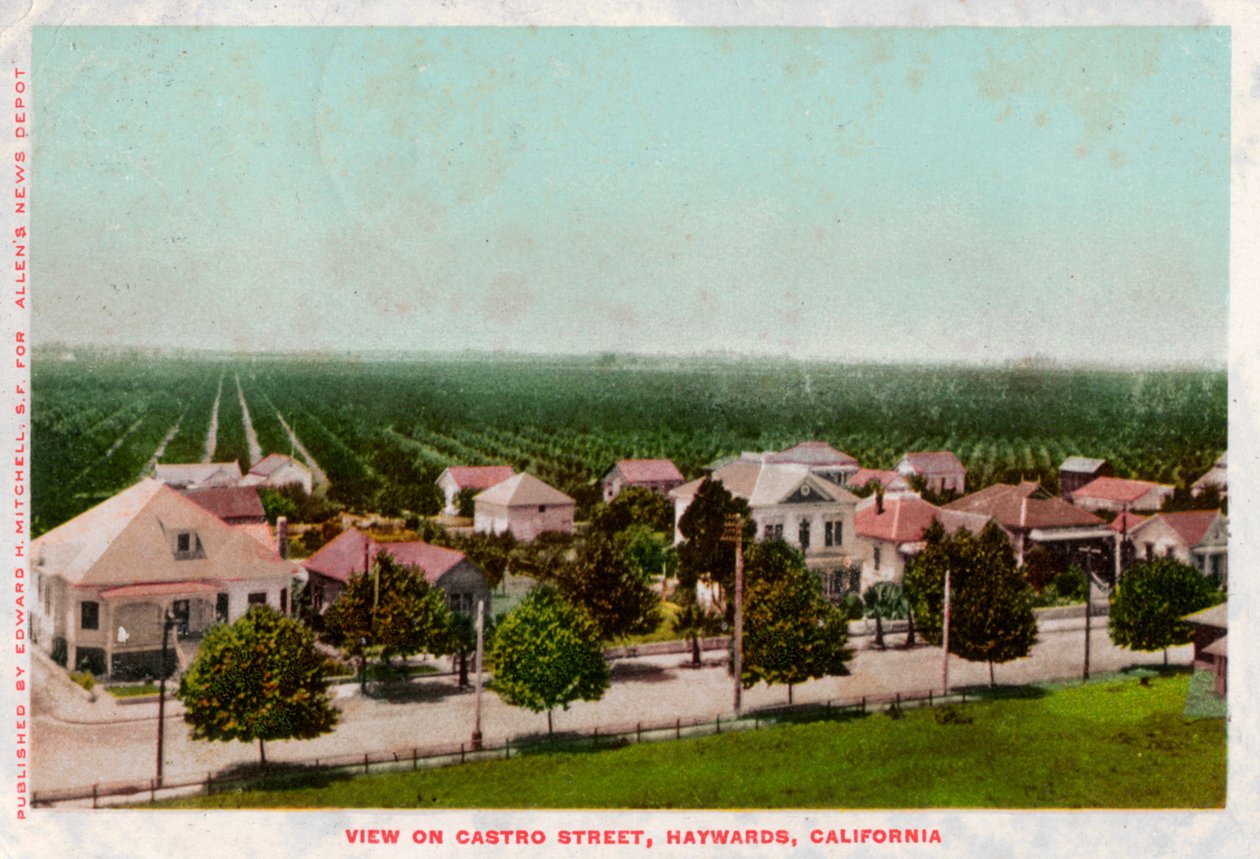 Castro Street, Hayward, California, 1905 by Unbekannt