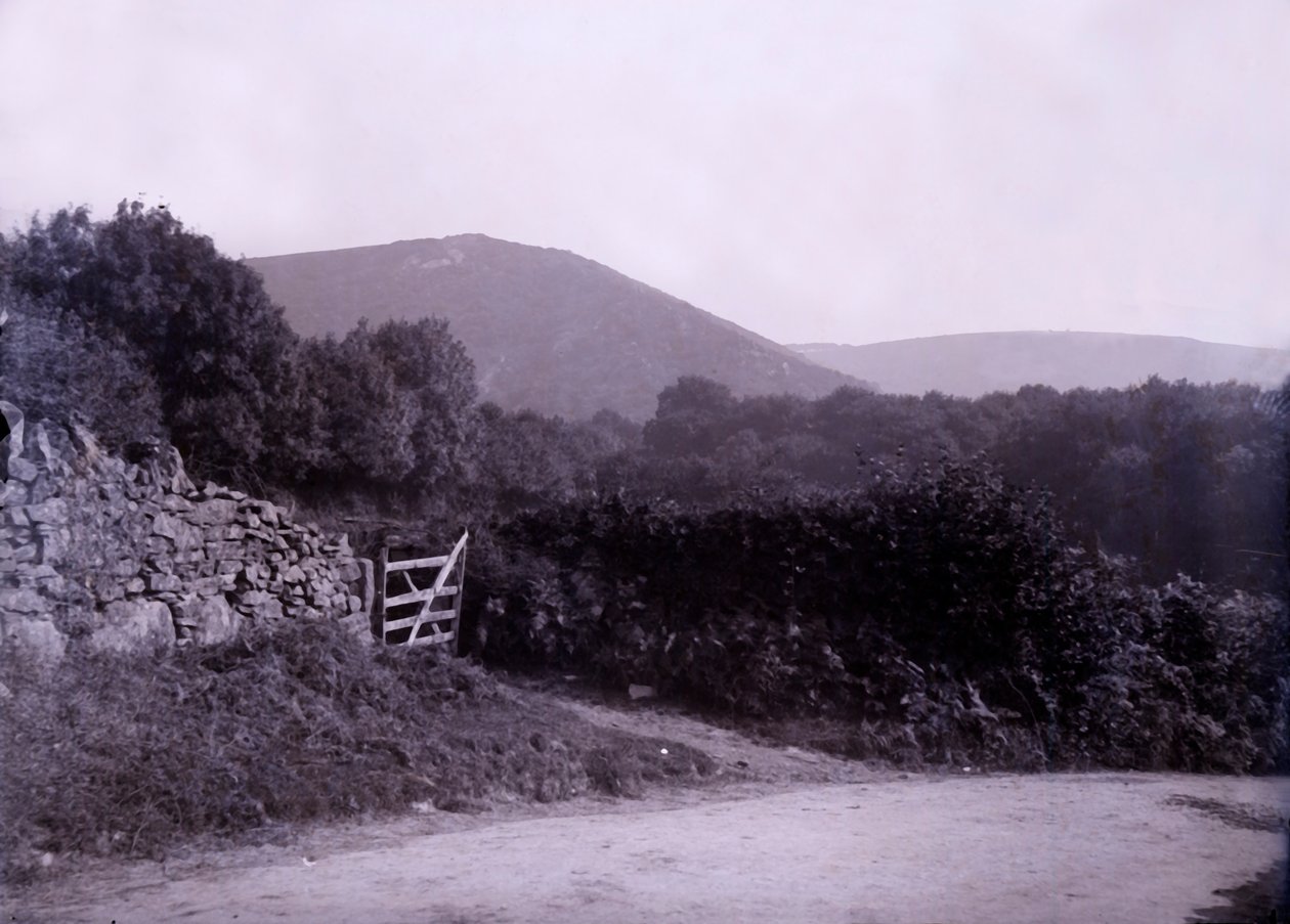 Countryside Near Plymouth in Devon by Unbekannt
