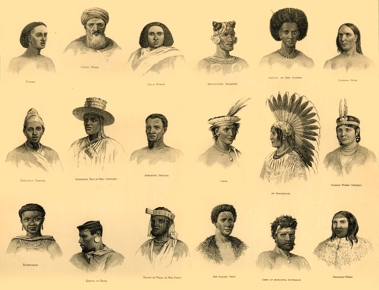 Ethnology, c1910 by Unbekannt