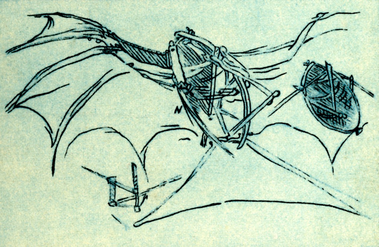 Flying machine designed by Leonardo da Vinci by Unbekannt