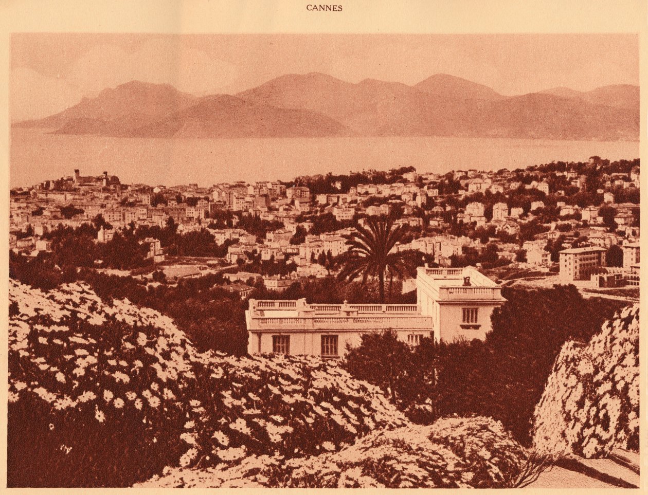 General View Taken from Pezou, Cannes, 1930 by Unbekannt