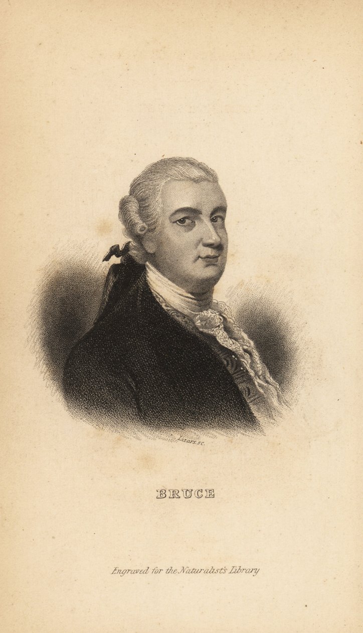James Bruce of Kinnaird, Scottish explorer, writer and naturalist by Unbekannt