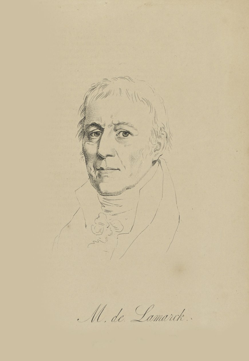 Jean-Baptiste Pierre Antoine de Monet, Chevalier de Lamarck, c1810 by Unbekannt