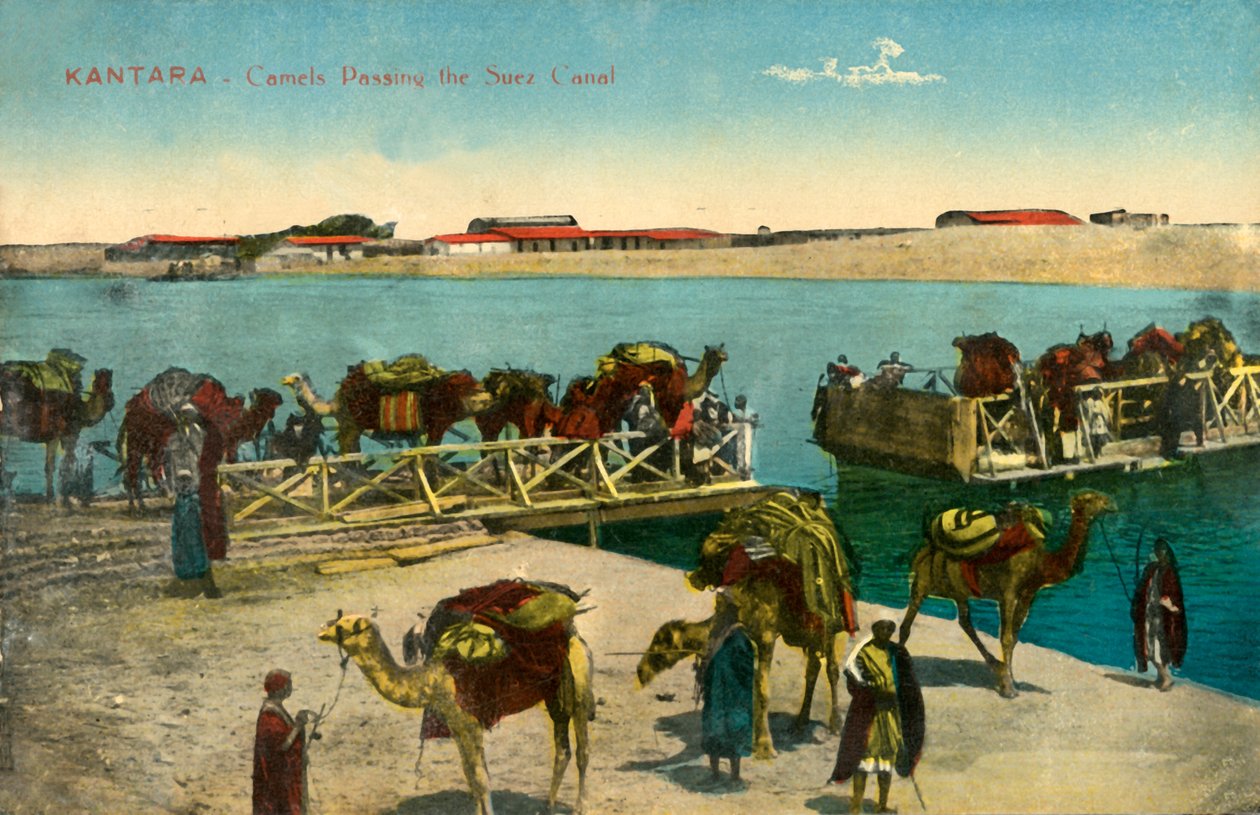 Kantara - Camels Passing the Suez Canal, c1918-c1939 by Unbekannt