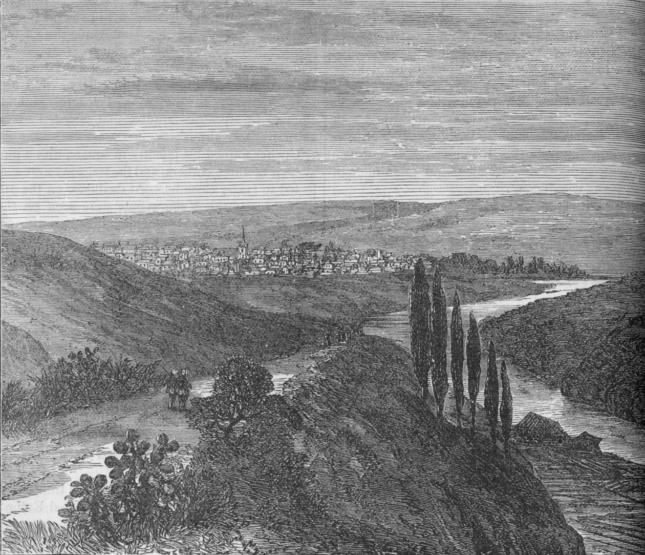 King Williams Town, from near the Aqueduct, c1880 by Unbekannt