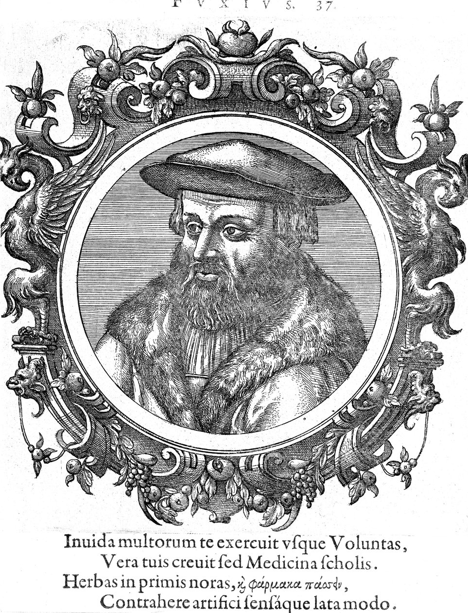 Leonhard Fuchs, German botanist and physician by Unbekannt