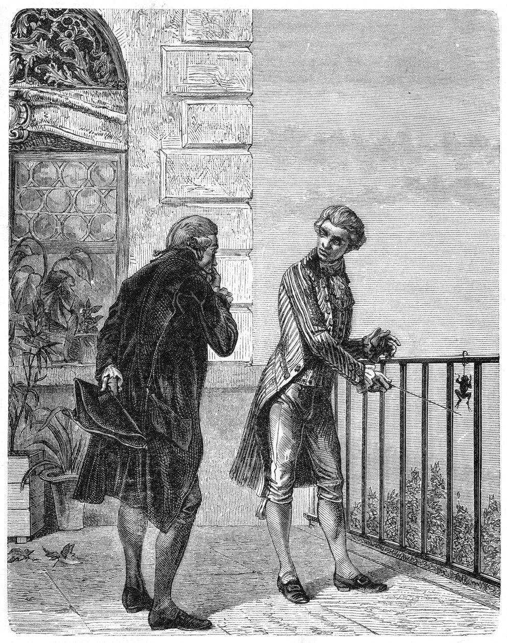 Luigi Galvani, 18th century Italian physiologist by Unbekannt