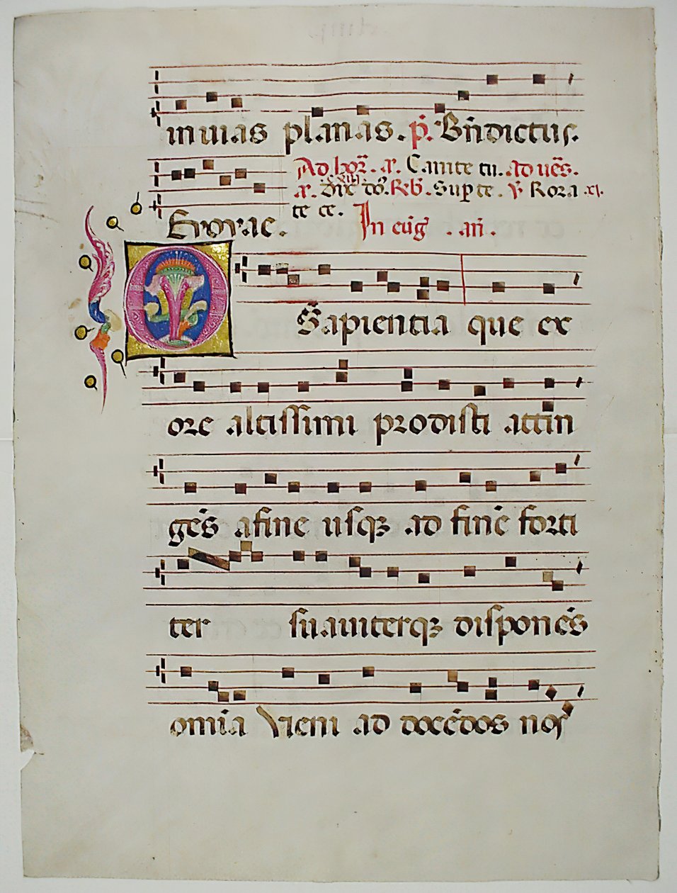 Manuscript Leaf with Initial O, from an Antiphonary, Italian, 15th century by Unbekannt