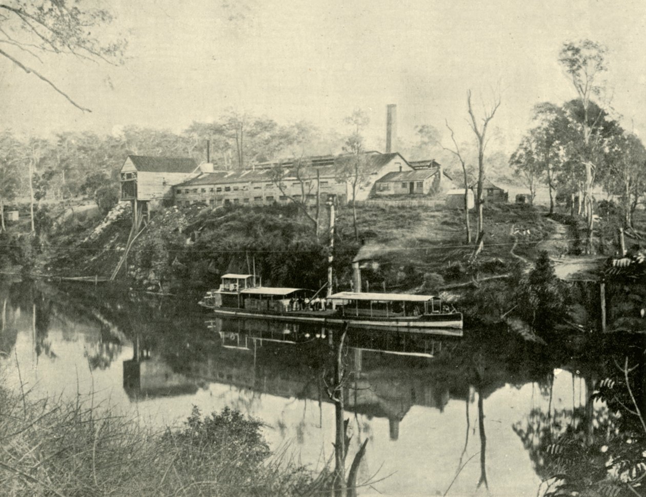 Meat Works, near Grafton, New South Wales by Unbekannt