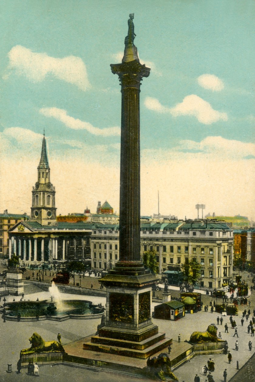 Nelson