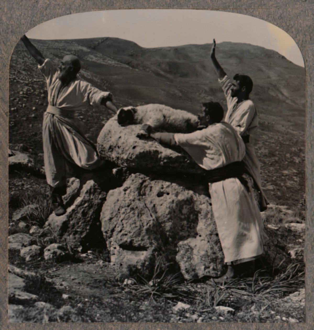 Offering sacrifice of lamb on Altar, Moreh by Unbekannt