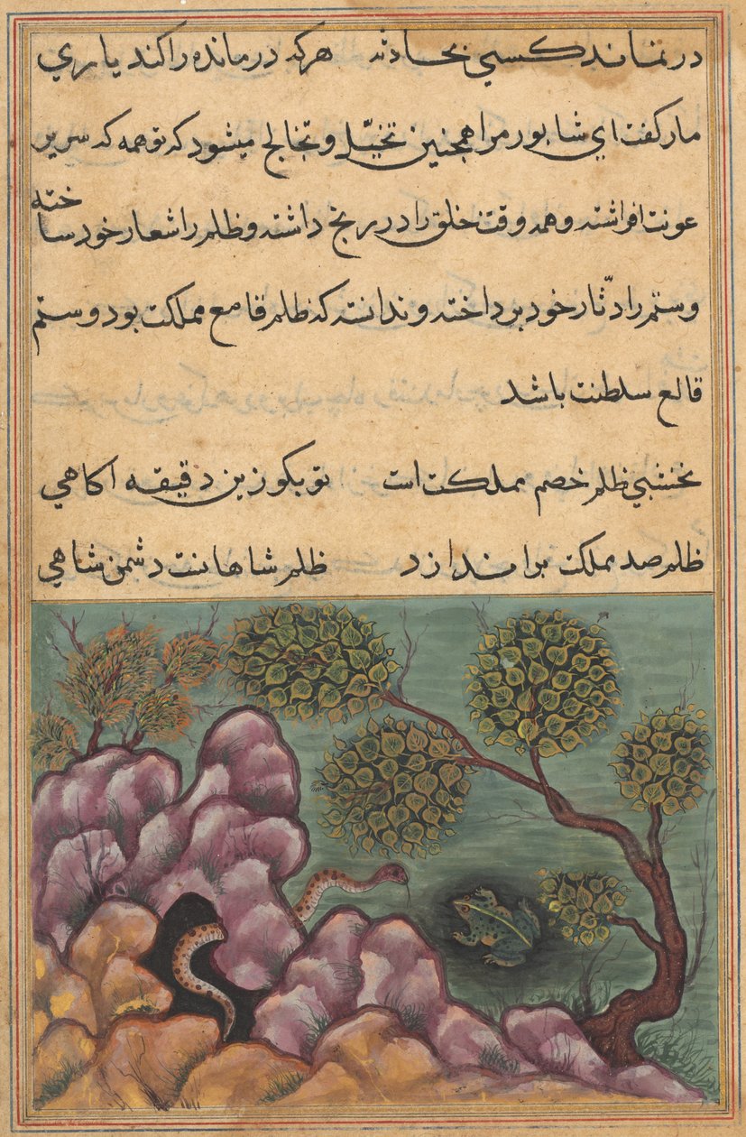Page from Tales of a Parrot Tuti-nama: Twenty-sixth Night: The Dethroned Frog by Unbekannt