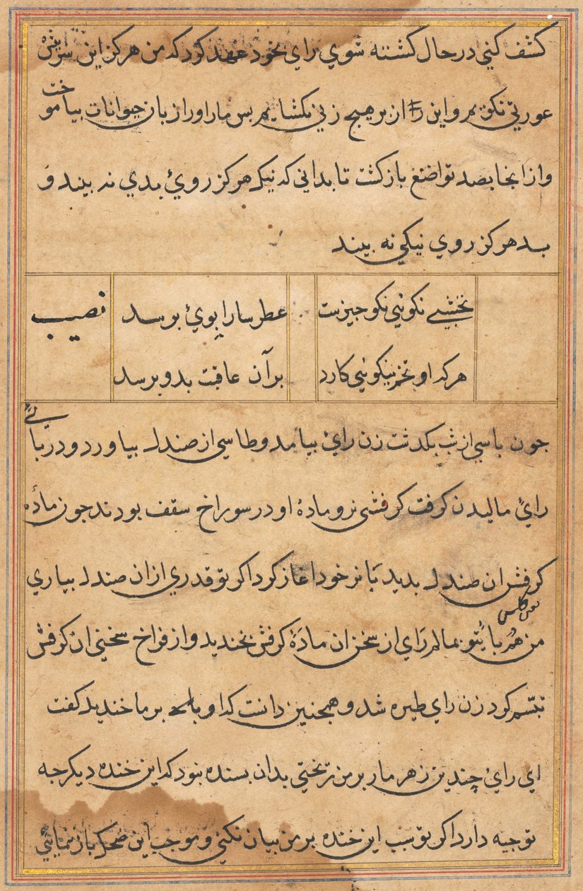 Page from Tales of a Parrot Tuti-nama: text page by Unbekannt