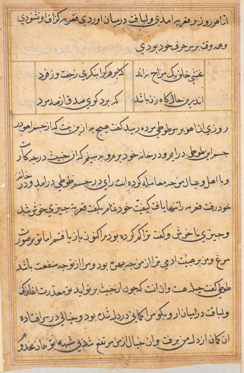 Page from Tales of a Parrot Tuti-nama: Text Page by Unbekannt