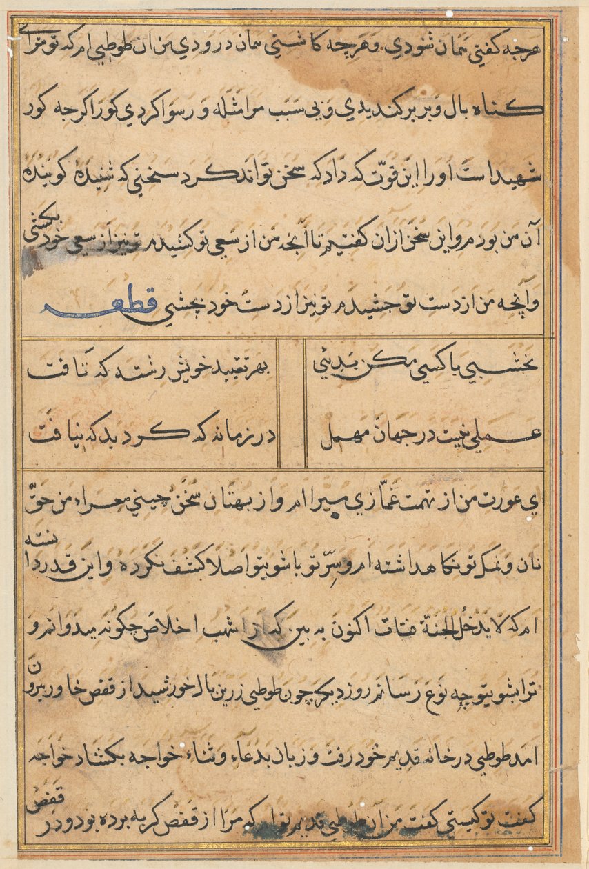 Page from Tales of a Parrot Tuti-nama: text page by Unbekannt