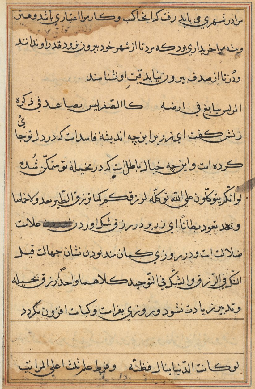 Page from Tales of a Parrot Tuti-nama: text page, c. 1560 by Unbekannt