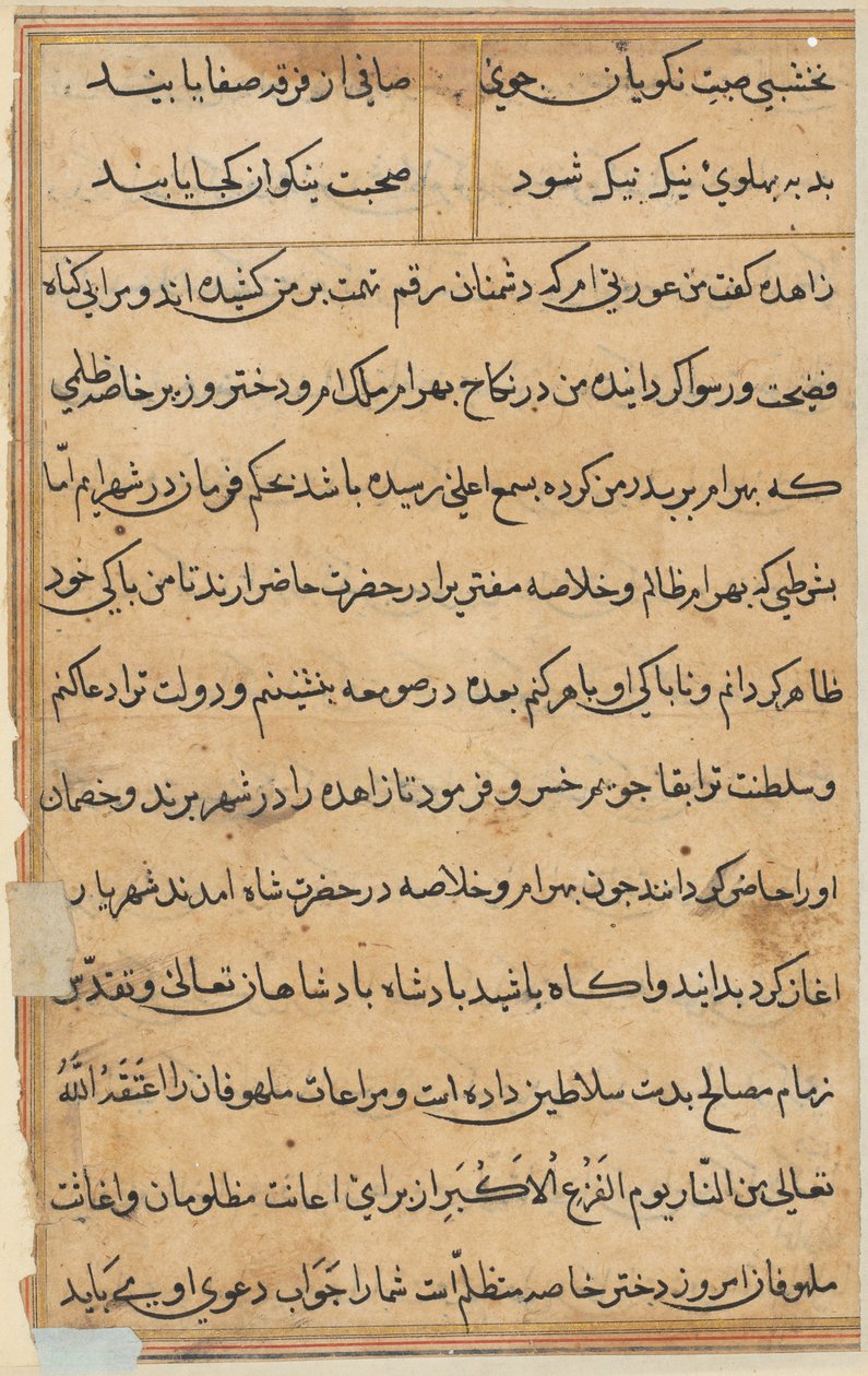 Page from Tales of a Parrot Tuti-nama: text page by Unbekannt
