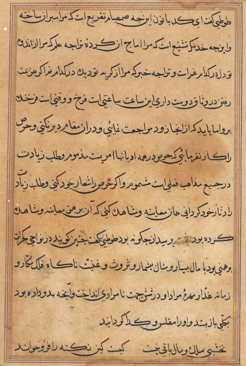 Page from Tales of a Parrot Tuti-nama: Text Page by Unbekannt
