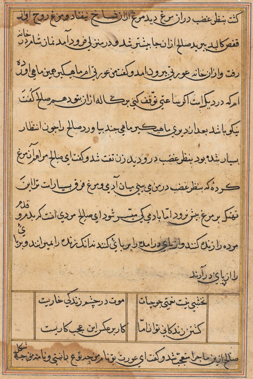 Page from Tales of a Parrot Tuti-nama: text page by Unbekannt
