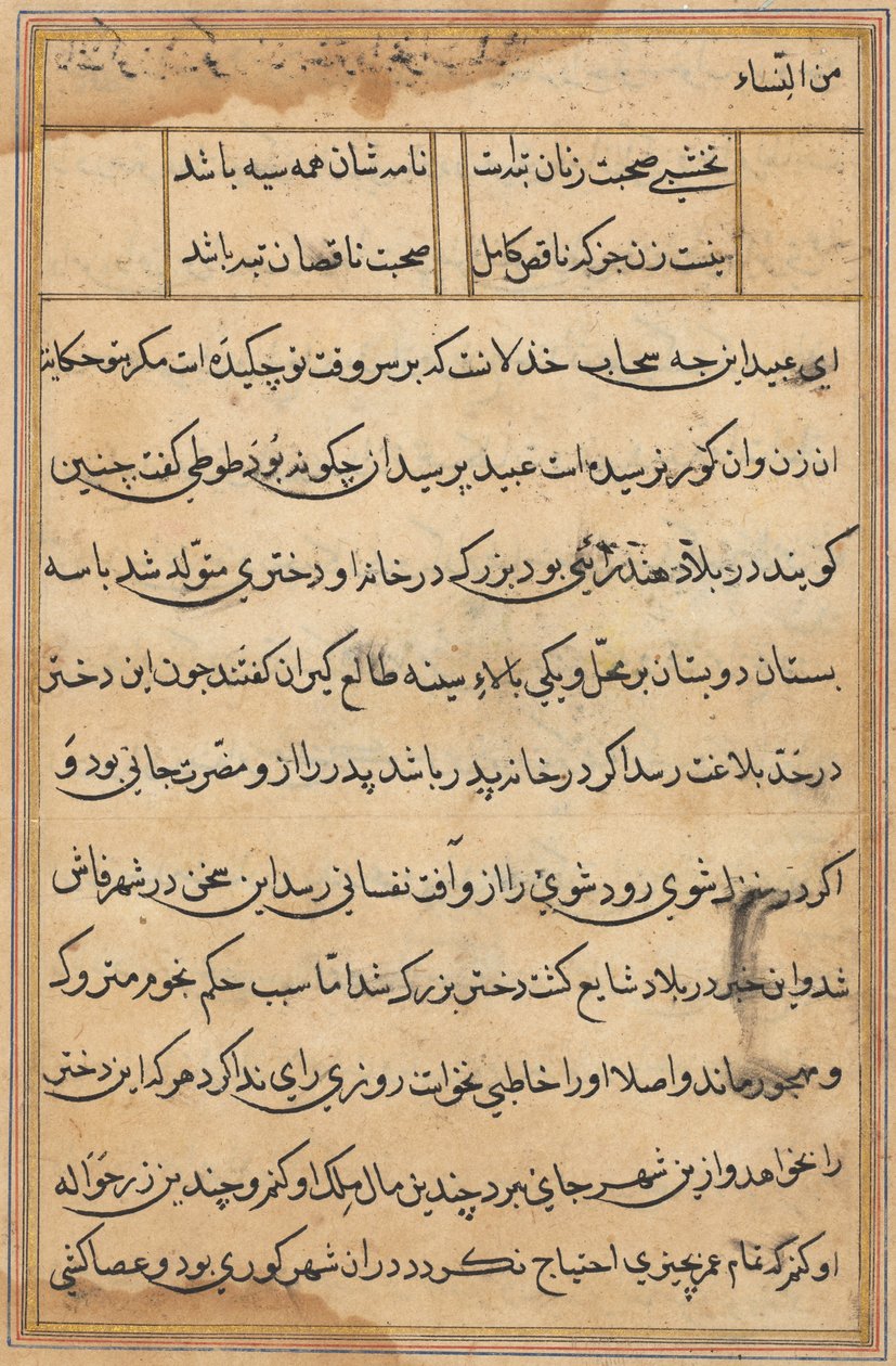 Page from Tales of a Parrot Tuti-nama: text page by Unbekannt