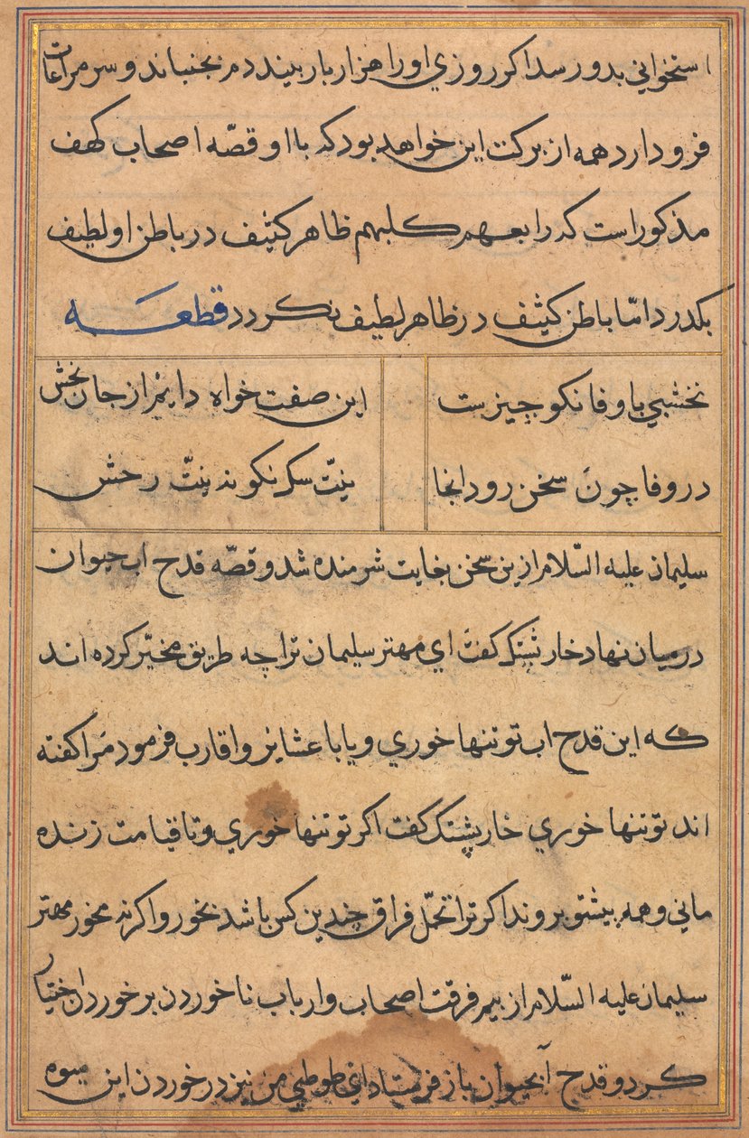 Page from Tales of a Parrot Tuti-nama: Text Page by Unbekannt