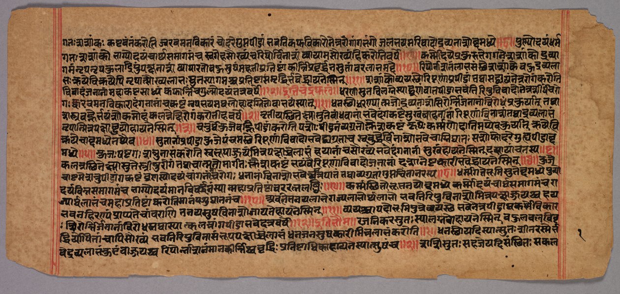Pages from a Jaina Manuscript, 1400s-1500s by Unbekannt