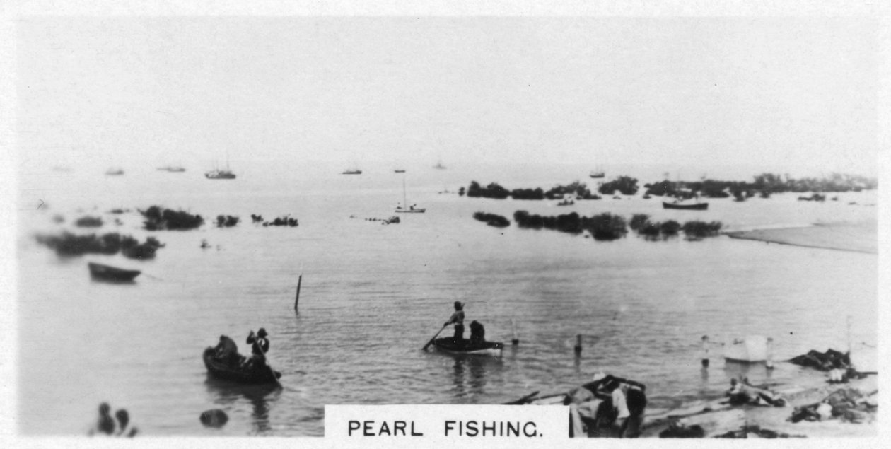 Pearl Fishing, Australia by Unbekannt