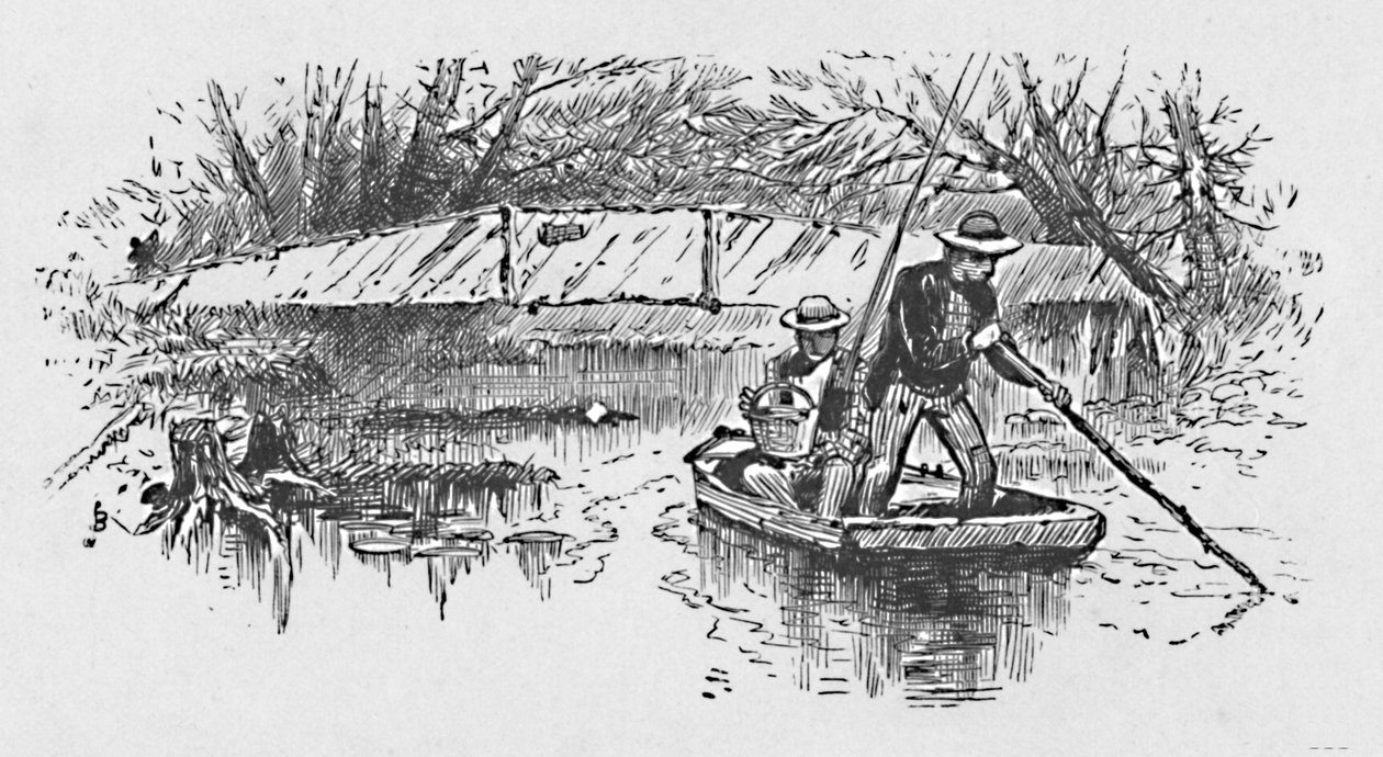 Perch-Fishing on the Lake, 1883 by Unbekannt