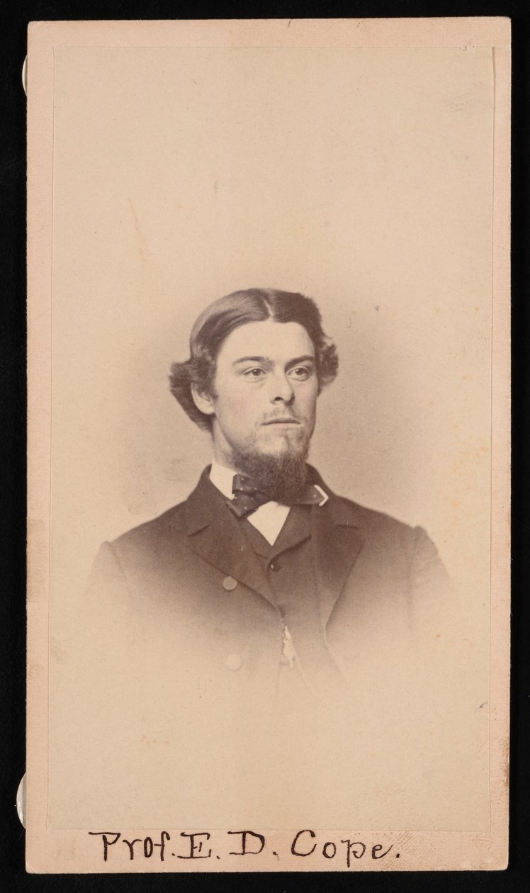 Portrait of Edward Drinker Cope by Unbekannt