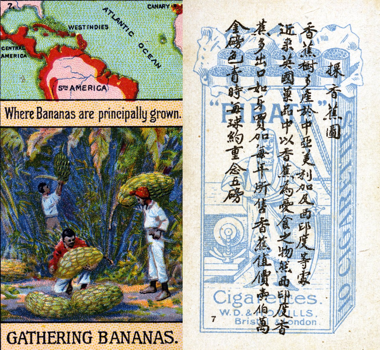 Principal areas for growing bananas, from the series of 