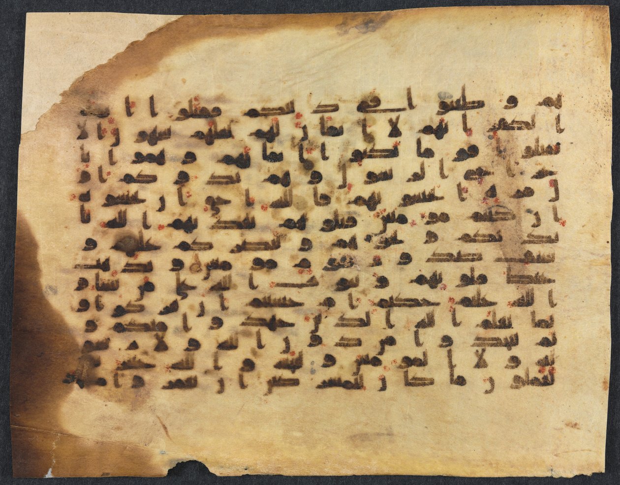 Quran Manuscript Folio recto, 800s-900s by Unbekannt