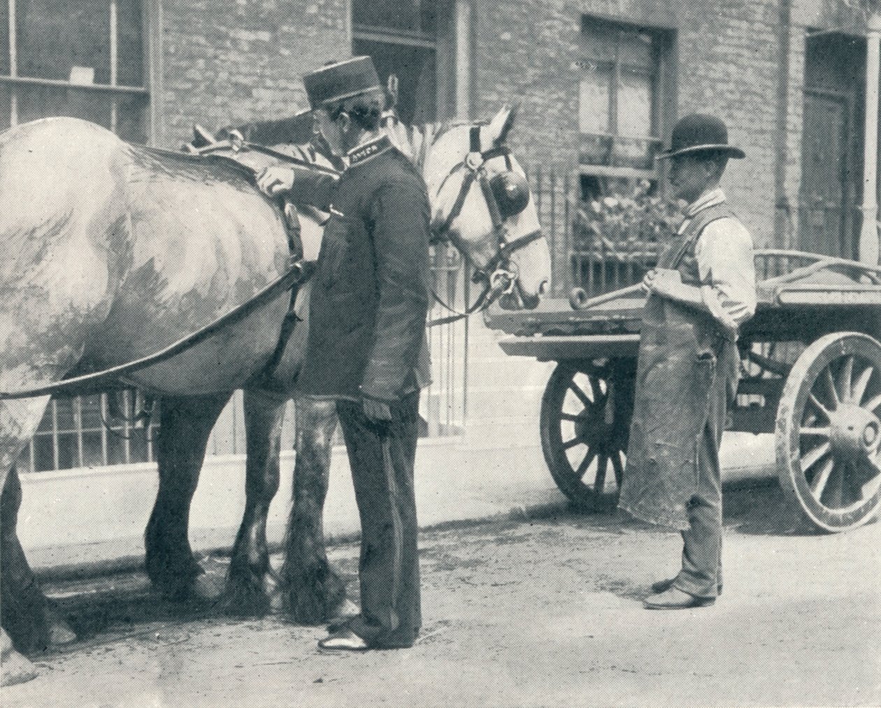 RSPCA Inspector Examining a Horse by Unbekannt