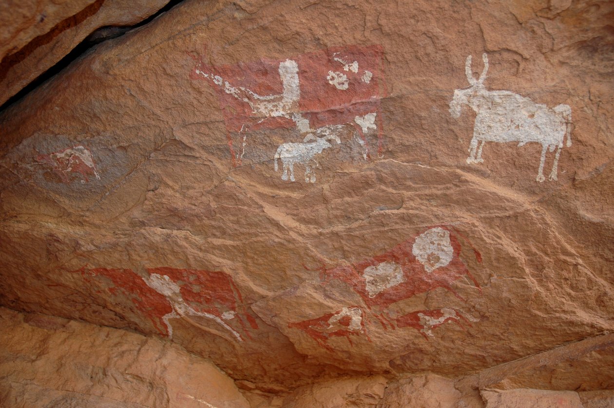 Rock Art, Prehistory: Rock Painting of a Group of Cattle and Sheep in an Ornate Shelter, Uweinat Massif, Sudan by Unbekannt