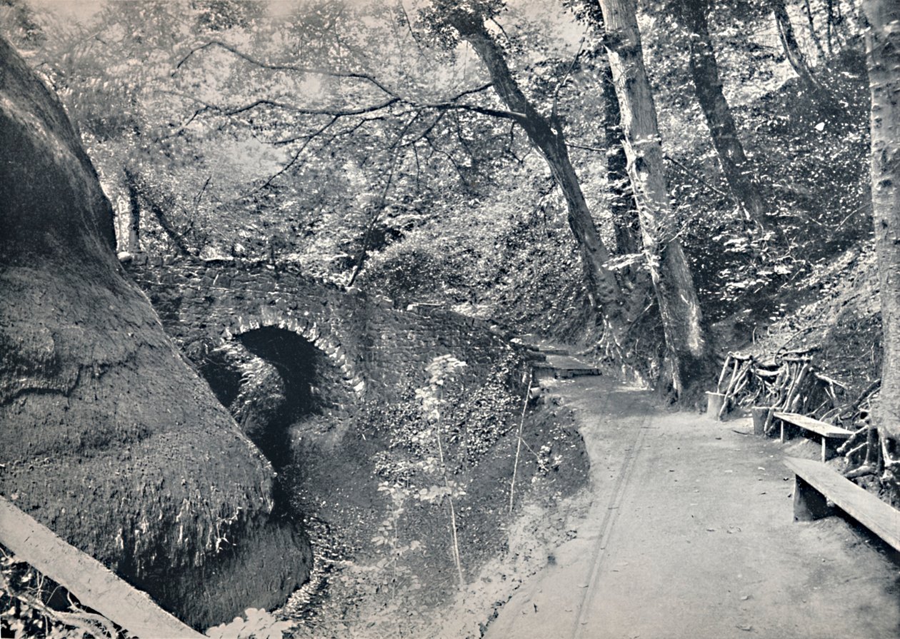 Shanklin - The Chine by Unbekannt