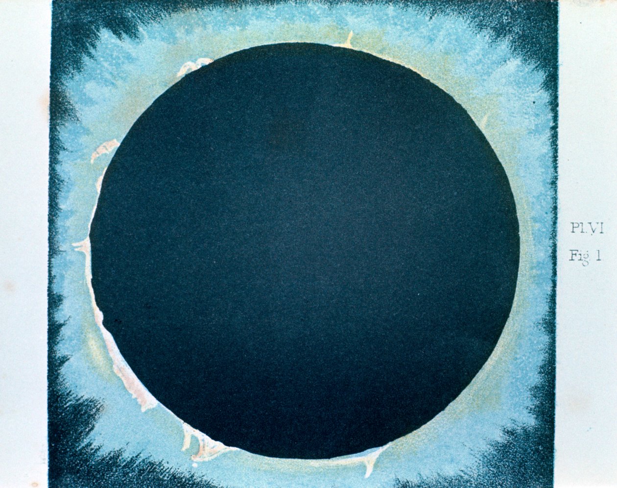 Solar Corona and Prominences 1860-1870 by Unbekannt