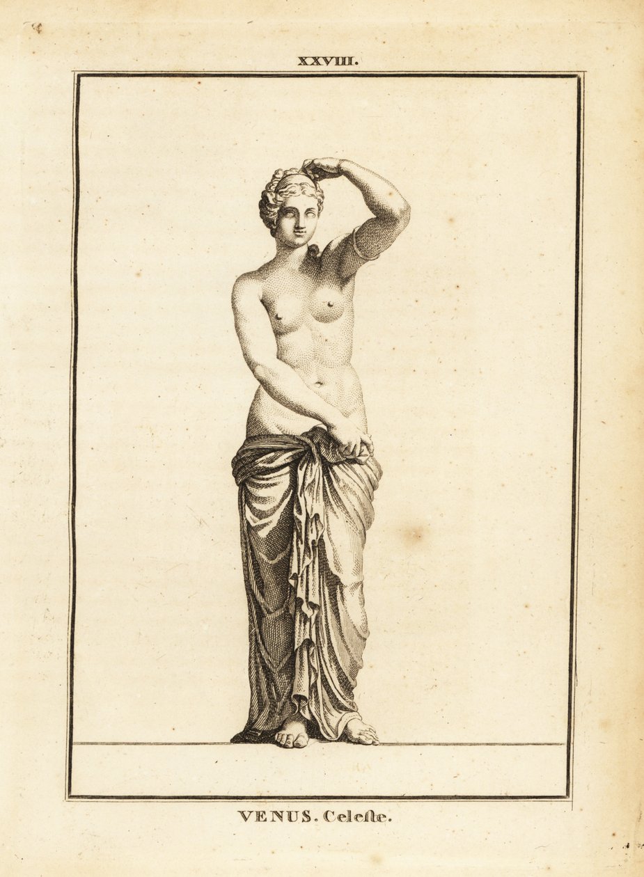 Statue of Venus Celeste, Roman goddess of love, beauty, sex and fertility by Unbekannt
